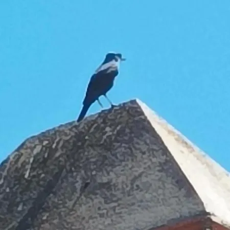 El Balcon De Alange