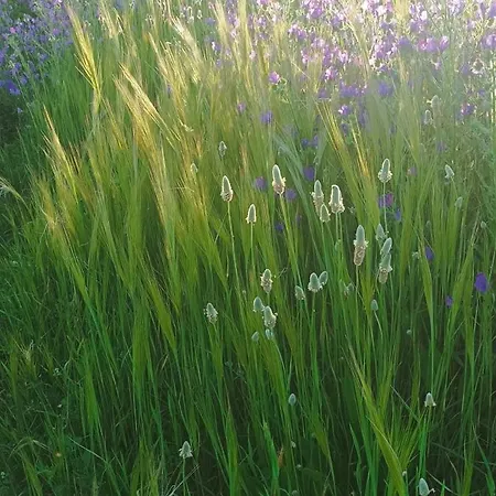 Bed and Breakfast El Balcon De