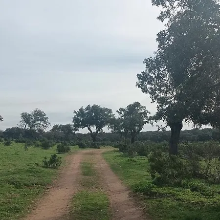 Bed and Breakfast El Balcon De