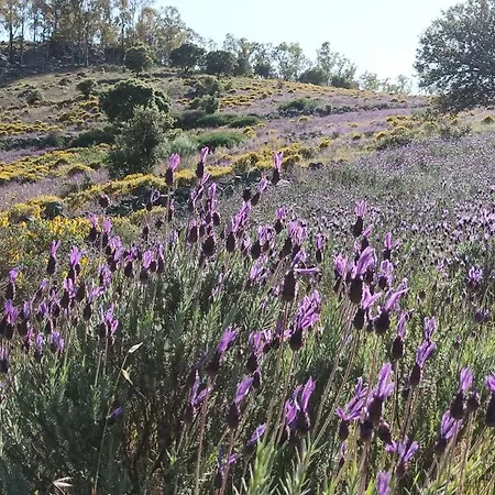 El Balcon De Bed and Breakfast