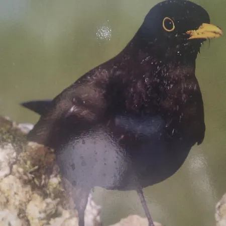 Bed and Breakfast El Balcon De 3*