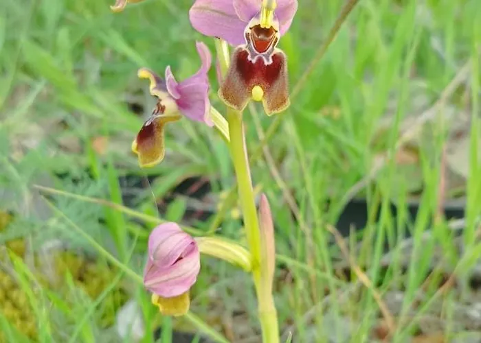 Bed & Breakfast El Balcon De 3*