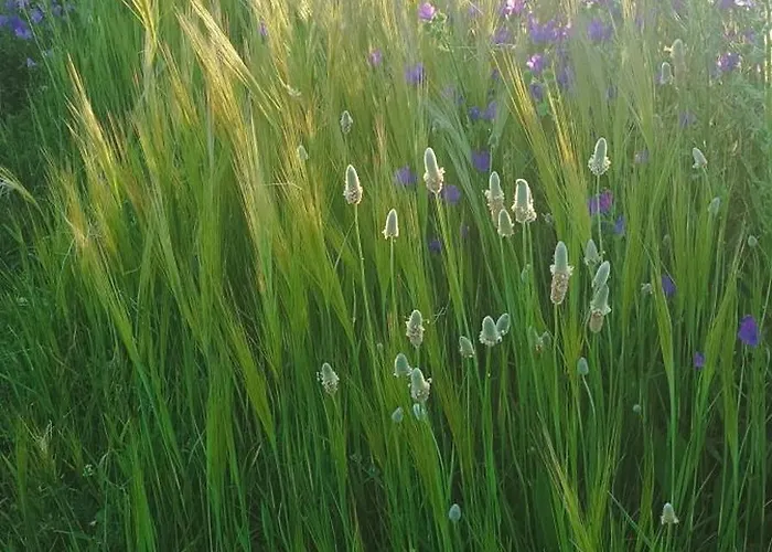 Bed & Breakfast El Balcon De