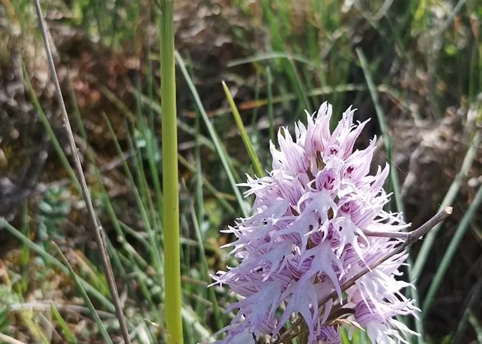 Bed & Breakfast El Balcon De