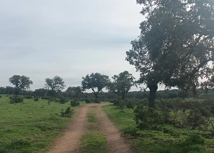 Bed & Breakfast El Balcon De