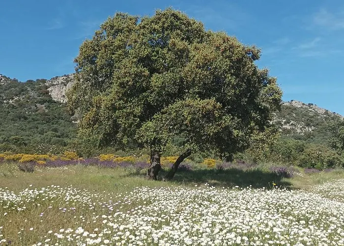 El Balcon De Bed & Breakfast 3*