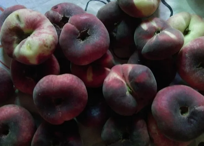 Bed & Breakfast El Balcon De 3*